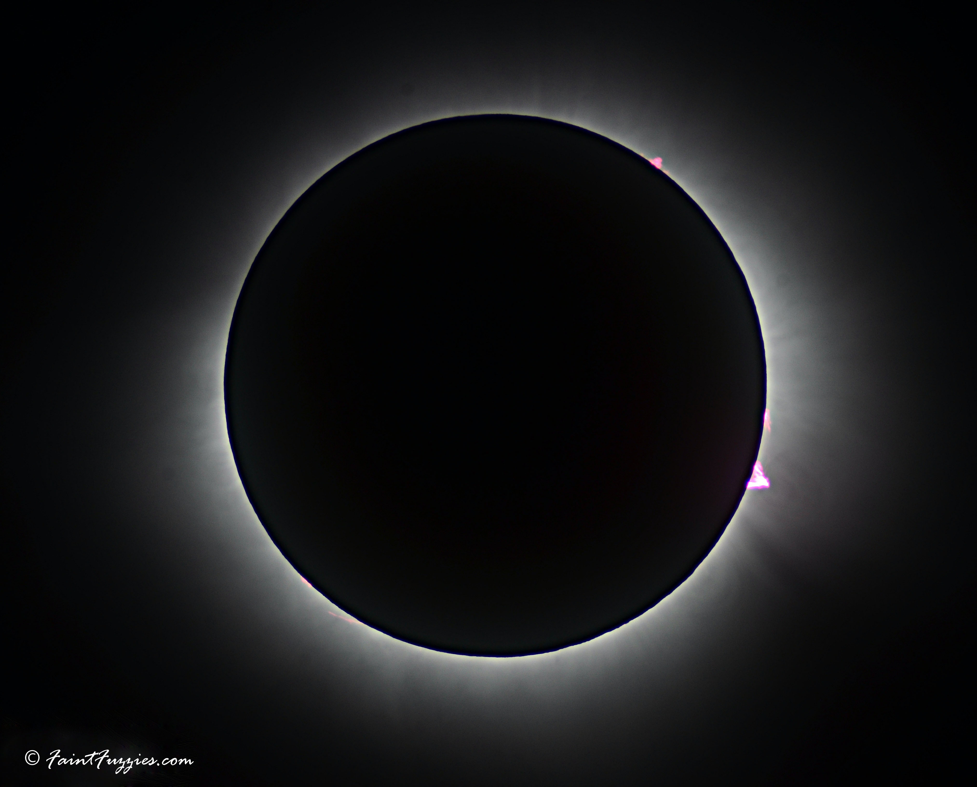 Corona with Prominences