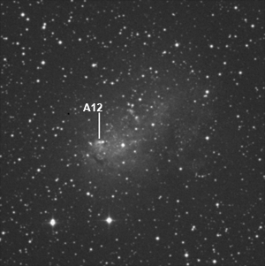 IC 10